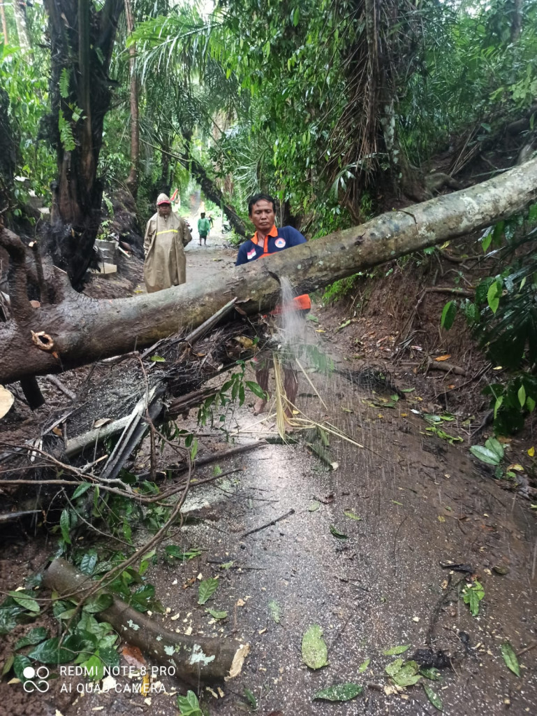 Pohon Tumbang di Banjar Gunung, Desa Abiansemal, Kecamatan Abiansemal Tanggal 11 Juli 2022